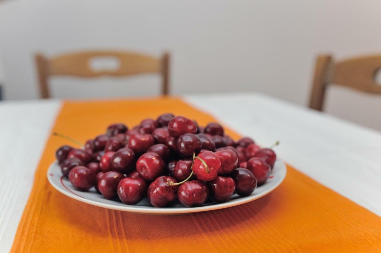 Apartman Svilno Rijeka Bagian luar foto